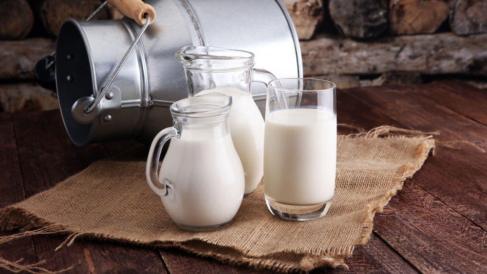 What You Didn&#39;t Know About Whole Milk