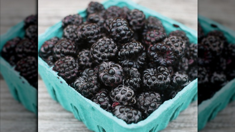 pint of black raspberries