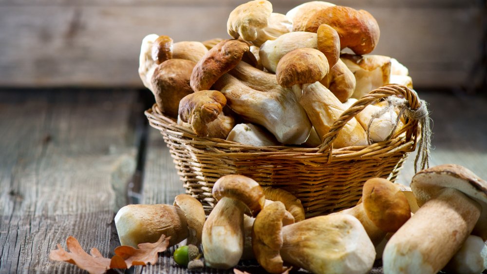Mushrooms