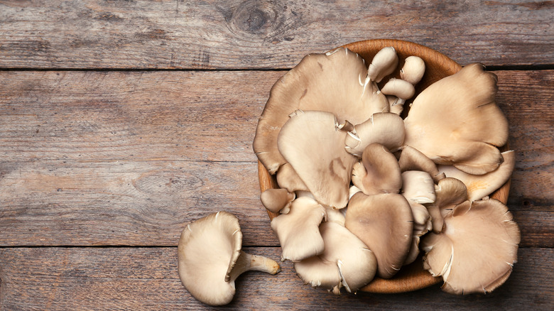 Wooden bowl with oyster mushrooms