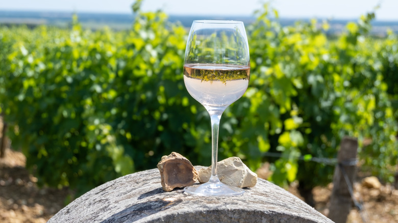 glass of white wine on a barrel in a vineyard