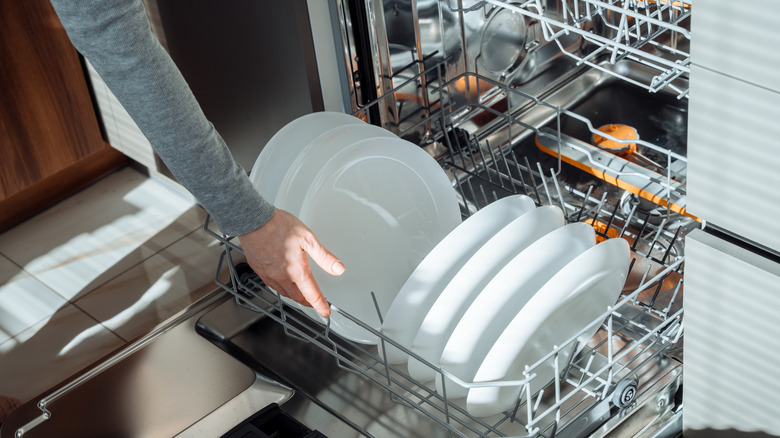 Loading a dishwasher with white plates