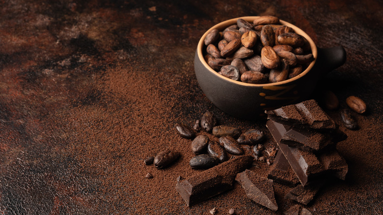 Cocoa beans and chocolate