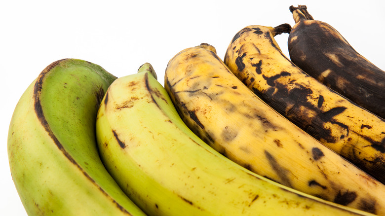 plantains at different ripeness