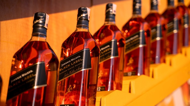 Row of Johnnie Walker Black Label bottles on liquor store display.