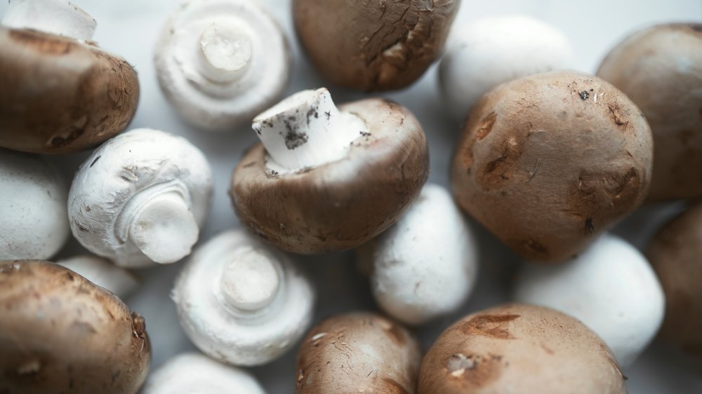 Whole white mushrooms and whole cremini mushrooms on a white backround.