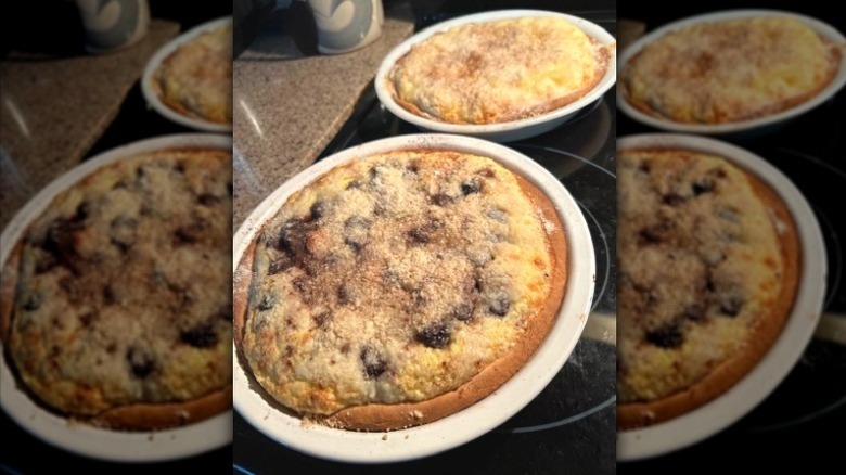 Two flavors of kuchen in white pie dishes