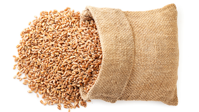 wheat in a burlap bag