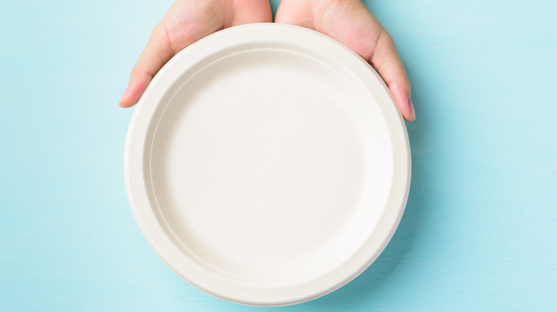 Hands presenting a paper plate against light blue background