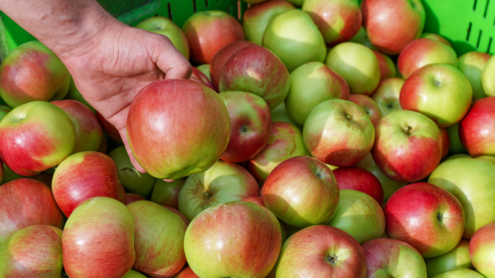 Hand picking up an apple