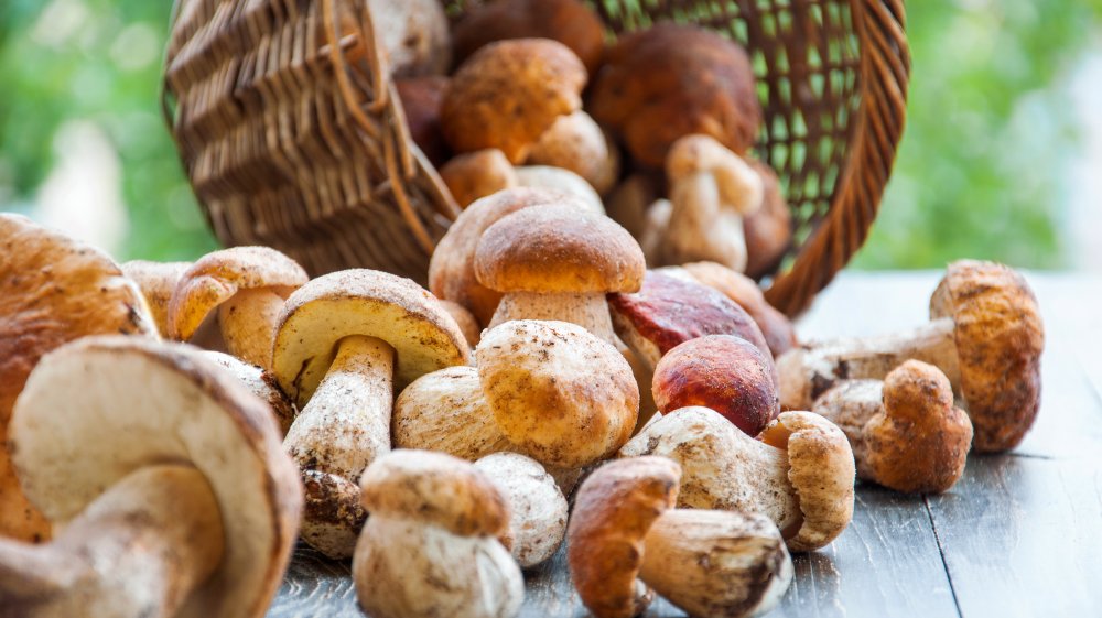 A basket of mushrooms