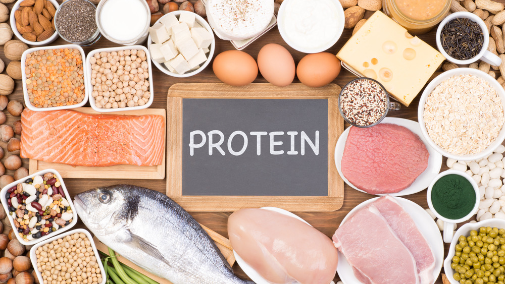 Food sources of protein