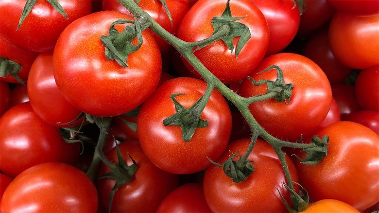 tomatoes on vine