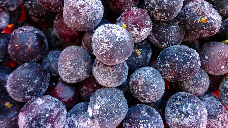 Close-up of frozen blueberries