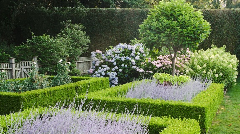 Ina Garten's outdoor garden with lavender fields and trees