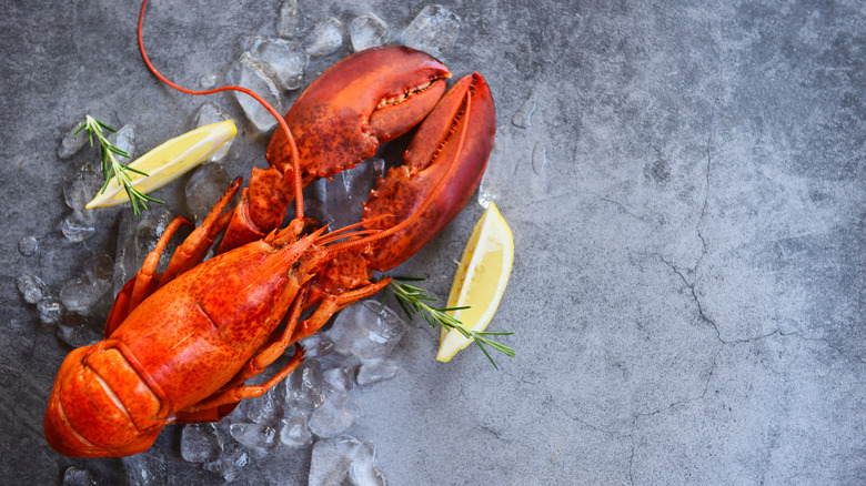 lobster with lemon wedges and ice