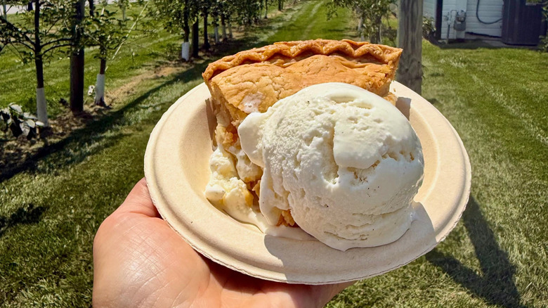hand holding slice of apple pie and ice cream on small paper plate outside