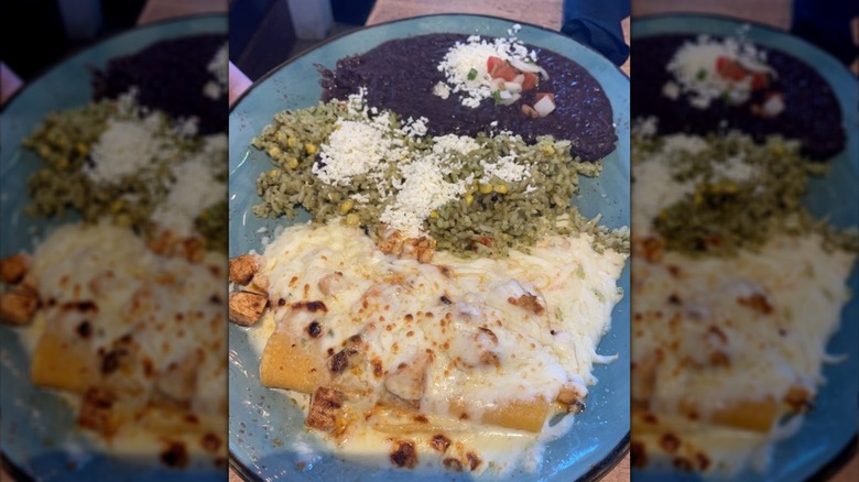 Enchiladas smothered in cheese on a blue plate topped with chicken chunks; green rice and black beans on the side