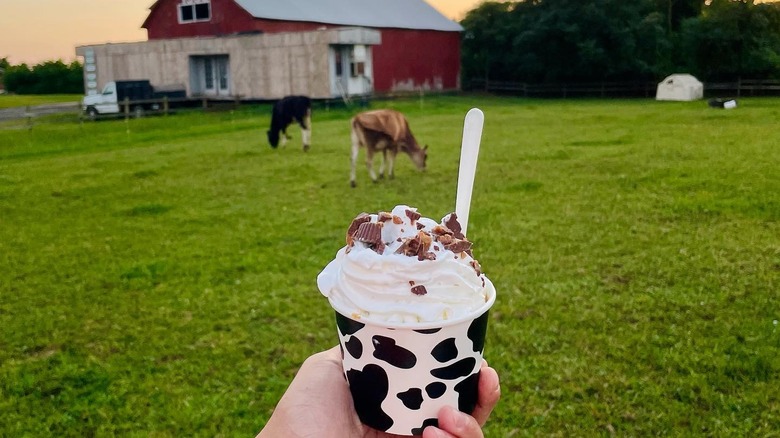 Cold treat in cow-patterned cup, topped with whipped cream and a cherry, with milk cow farm in background.