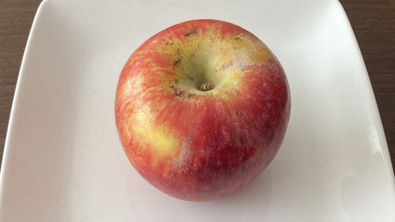 Honeycrisp apple plated up