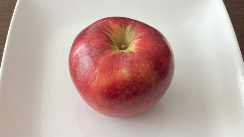 white plate with SnapDragon apple