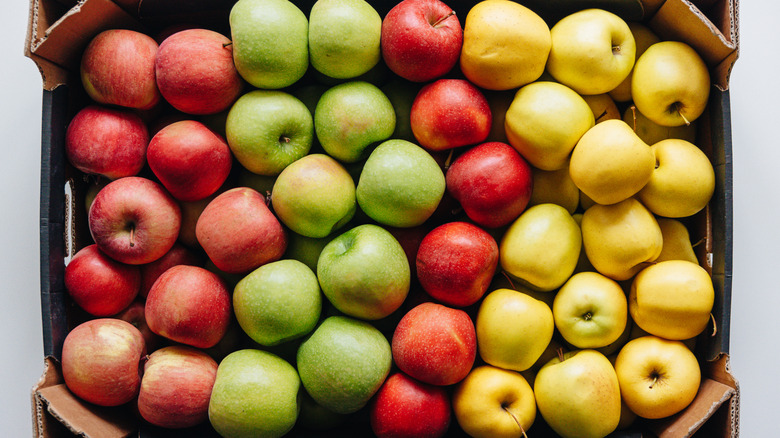 rows of different varieties of apples