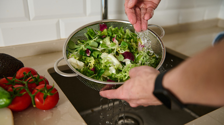 Person rinsing lettuce in colander under running faucet.