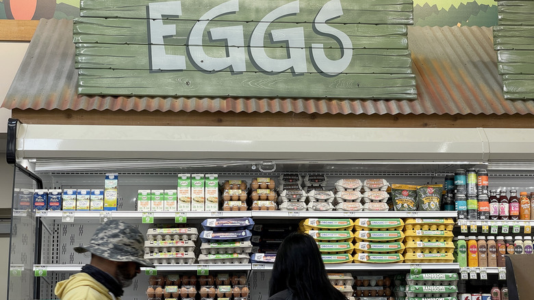 eggs