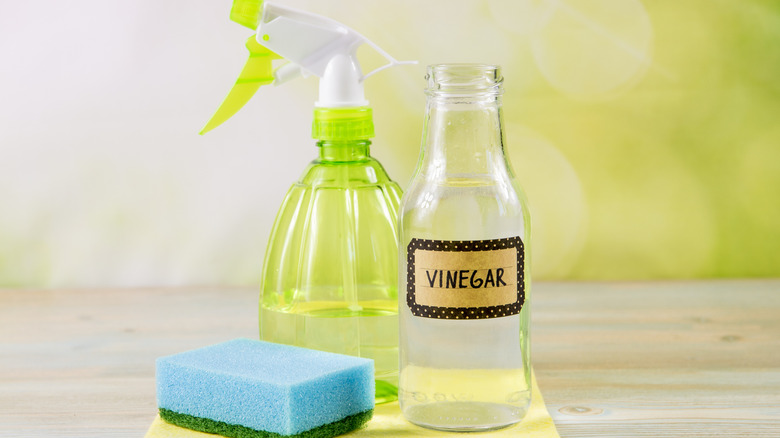 Bottle of vinegar with spray bottle and sponge