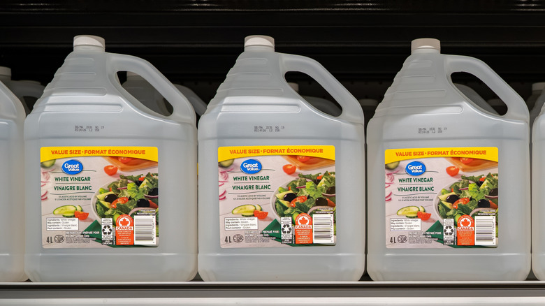 Jugs of white vinegar on store shelf