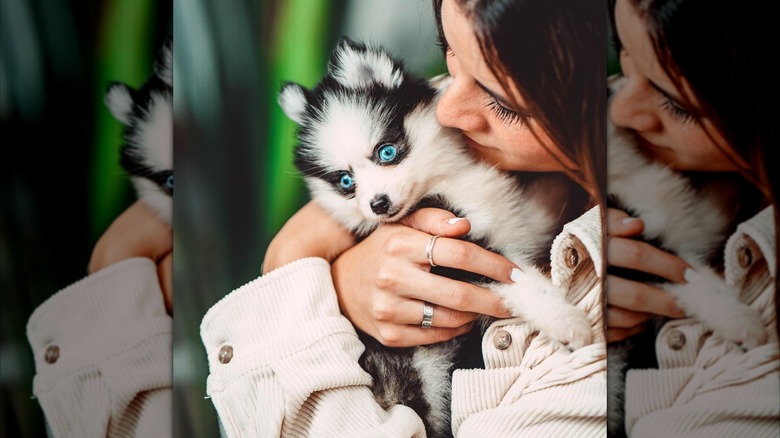 Isabelle Tashima hugging Pepper, a Pomsky she co-parents with Nick DiGiovanni
