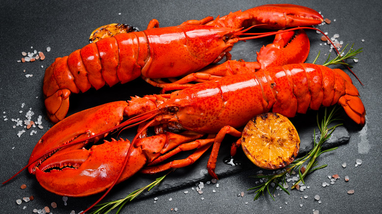 Two cooked lobsters with herbs and seasoning