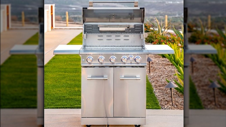 Kirkland Signature Stainless Steel 6-Burner Gas Grill