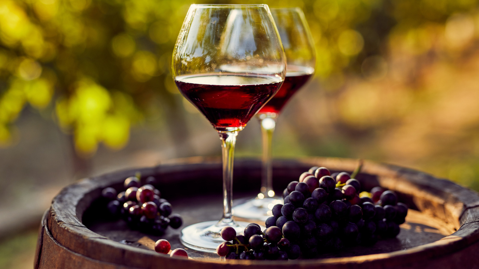 Who Makes Costco's Kirkland Signature Barolo Wine?