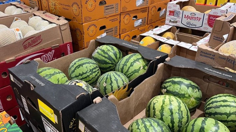 Watermelons are stacked in boxes at Costco next to other types of melons