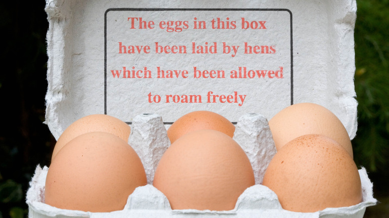 Six free-range eggs in a carton