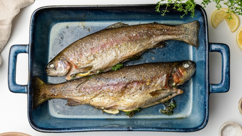 roasted trout in baking dish