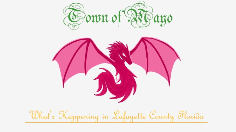 Town of Mayo's logo