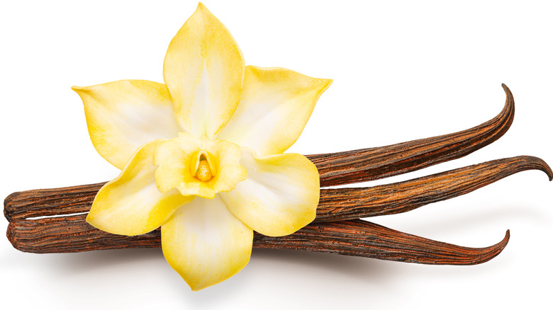 vanilla flower