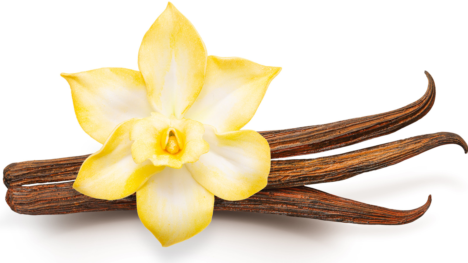 Vanilla Flower