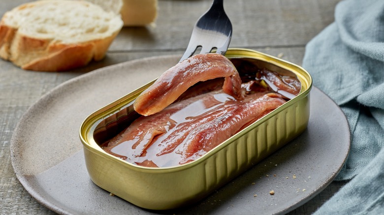 a fork removing an anchovy from a tin in oil on a plate with a piece of bread