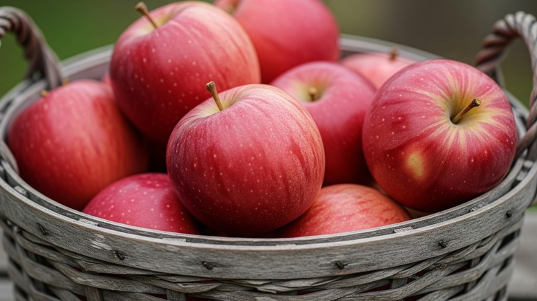 A basket of apples