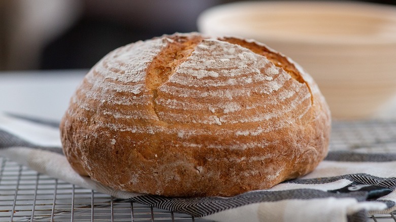 Freshly baked loaf of bread