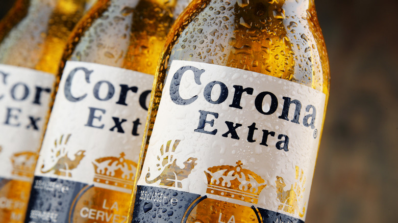 Corona Extra beer bottles