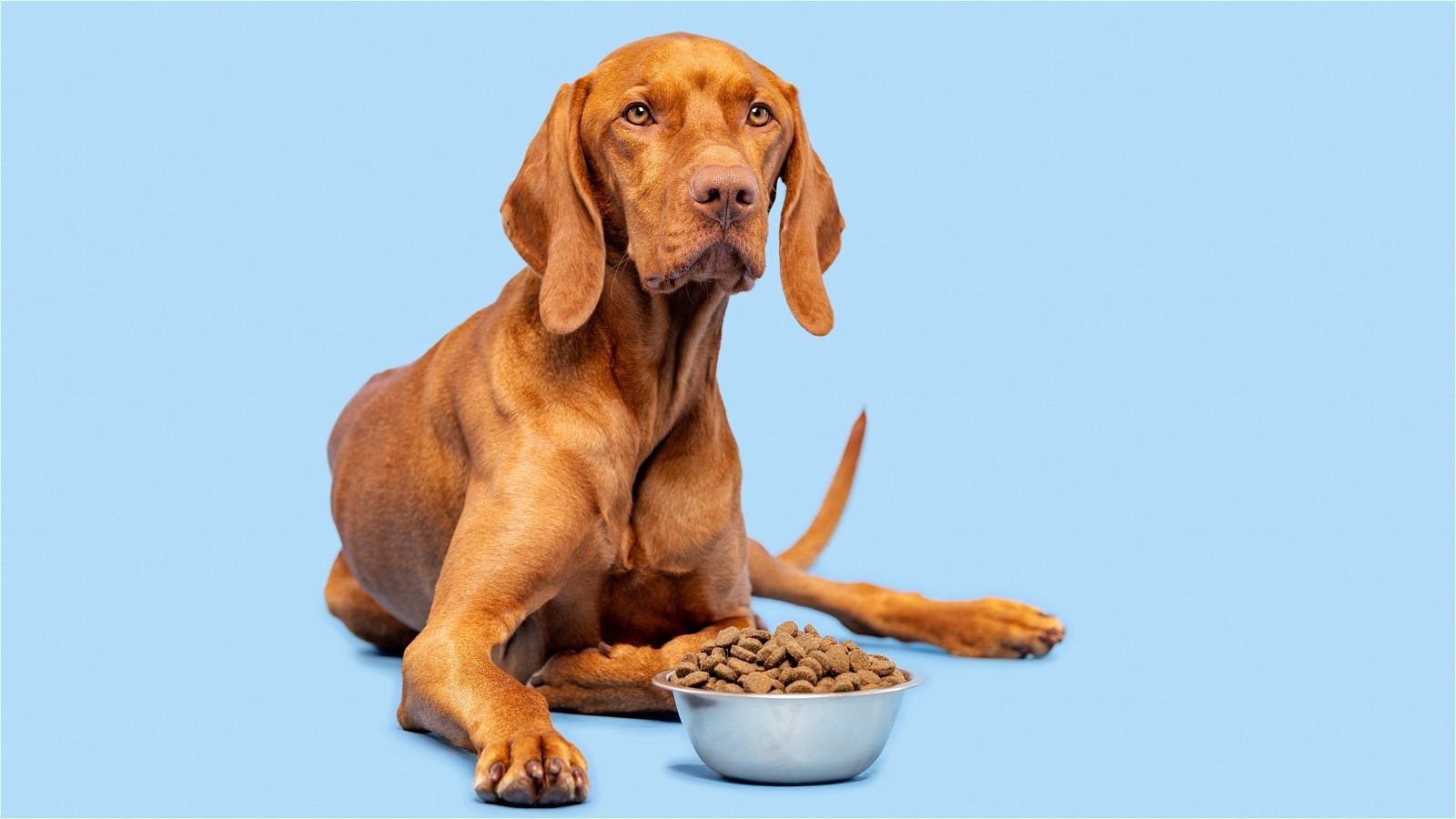 Why Are Grown Men Eating Dog Food On TikTok?!