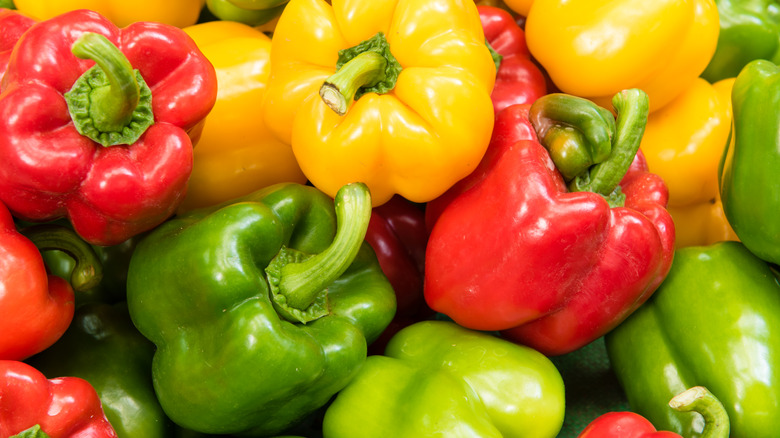 Closeup of a variety of bell peppers of red, green, and yellow colors with green stems