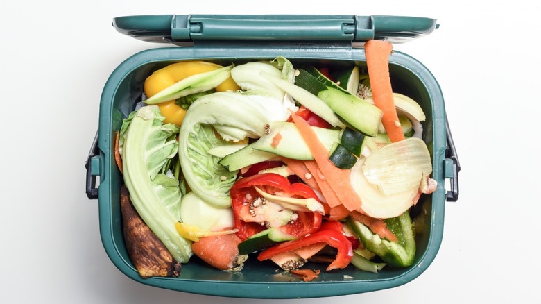 Vegetable scraps inside a bucket