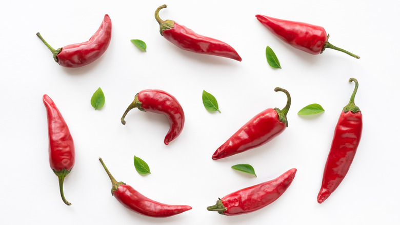 Chili peppers on white backdrop