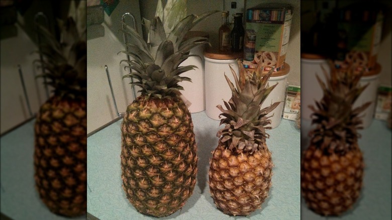 Two Pineapples