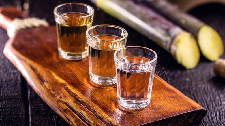 Three shots of clear liquor near cut sugarcane and lime